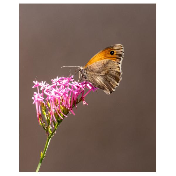 PHOTO84, CLUB, 84 , LUBERON